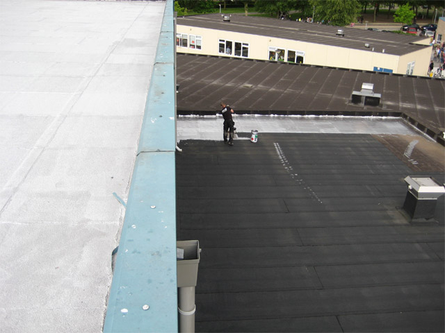 De coating op het dak